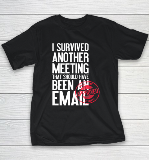 I Survived Another Meeting That Should Have Been An Email Youth T-Shirt