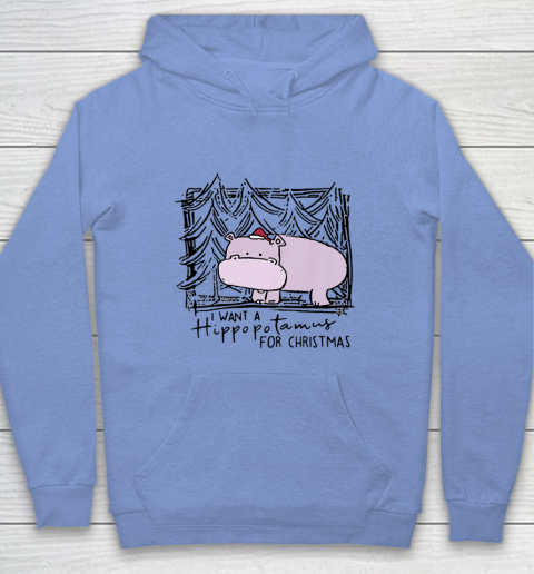 I Want A Hippopotamus For Christmas Hippo for Kid Women Men Hoodie 7