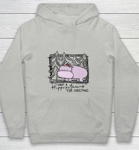I Want A Hippopotamus For Christmas Hippo for Kid Women Men Youth Hoodie