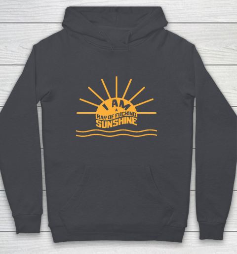 I am a Ray of fucking Sunshine Youth Hoodie 5