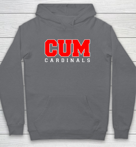 CUM Cardinals Christian University Michigan Hoodie 3