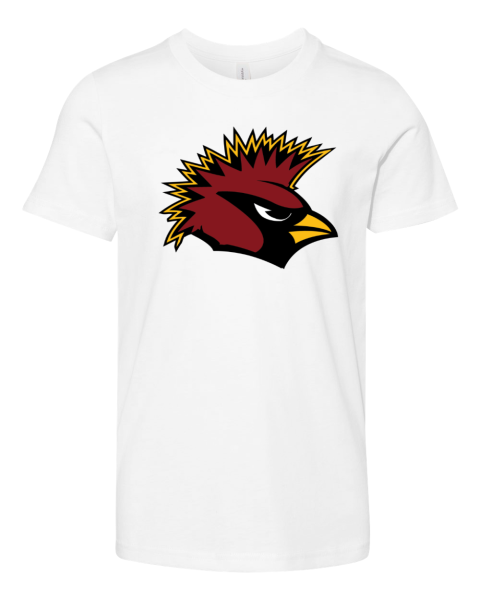 Arizona Cardinals NFL National Football Premium Youth T-shirt