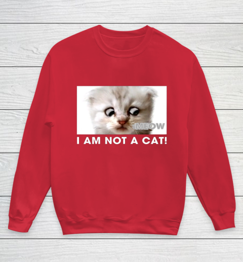 I am not a cat shirt funny video zoom call cat Youth Sweatshirt 7