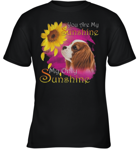 Cavalier King Charles Spaniel You Are My Sunshine My Only Sunshine Youth T-Shirt