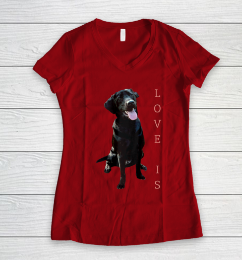 Dog Mom Shirt Labrador Retriever Shirt Women Men Kids Black Lab Dog Mom Women's V-Neck T-Shirt 8