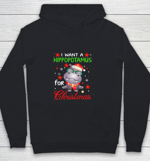 I Want A Hippopotamus For Christmas Funny Hippo Gifts Youth Hoodie