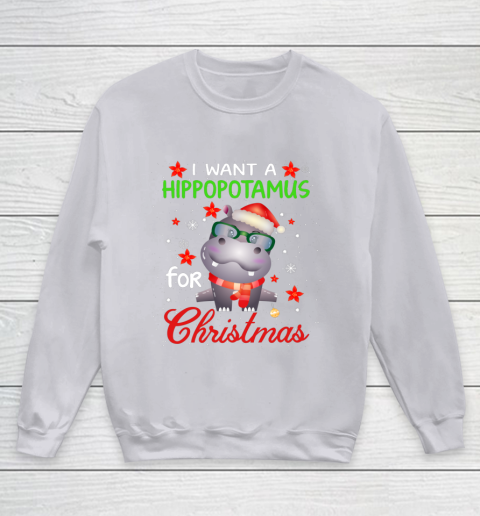 I Want A Hippopotamus For Christmas Funny Hippo Gifts Youth Sweatshirt 3
