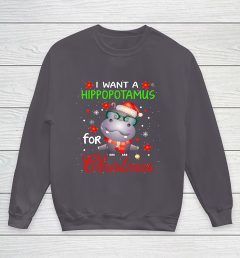I Want A Hippopotamus For Christmas Funny Hippo Gifts Youth Sweatshirt 5