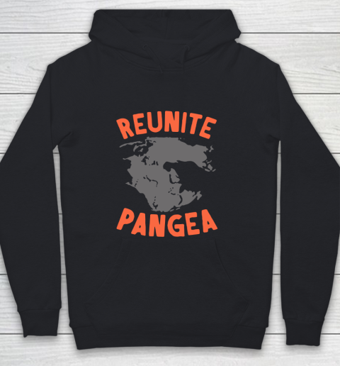 Reunite Pangea Youth Hoodie