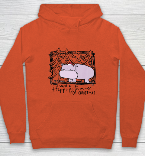 I Want A Hippopotamus For Christmas Hippo for Kid Women Men Hoodie 3