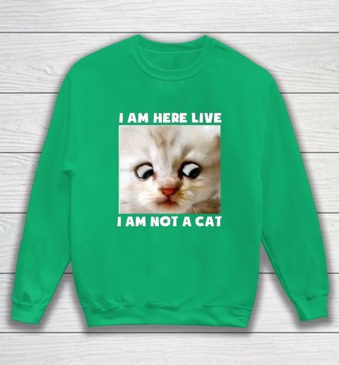 I Am Here Live I Am Not A Cat Funny Lawyer Cat Meme Sweatshirt 5