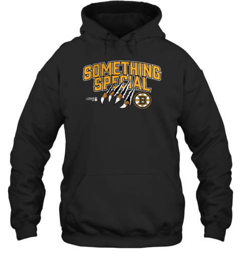 Boston Bruins 2023 Stanley Cup Playoffs Something Special Hoodie