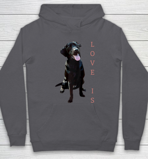 Dog Mom Shirt Labrador Retriever Shirt Women Men Kids Black Lab Dog Mom Hoodie 4