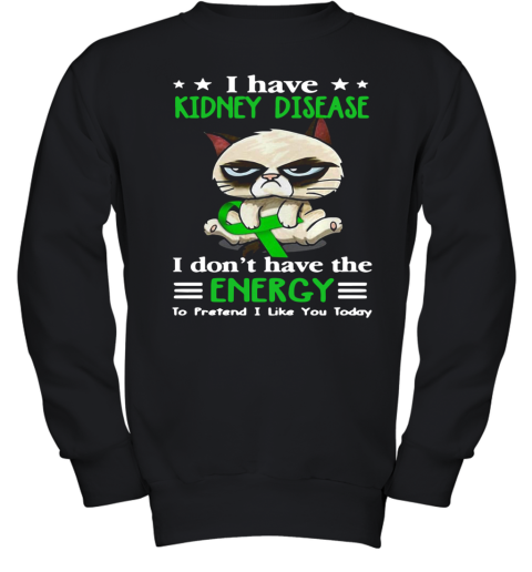 Grumpy Cat Hug Cancer Awareness I Have Kidney Disease Youth Sweatshirt