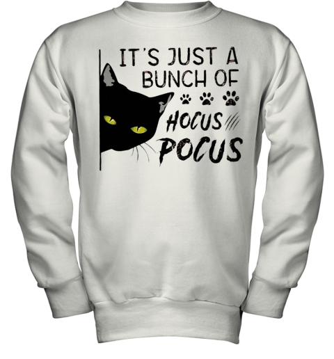 It'S Just A Buch Of Hocus Pocus Black Cat Youth Sweatshirt