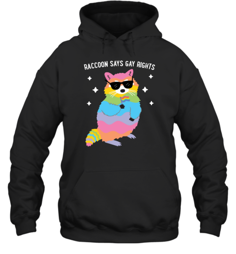 Juicybodygoddess Raccoon Says Gay Rights Hoodie