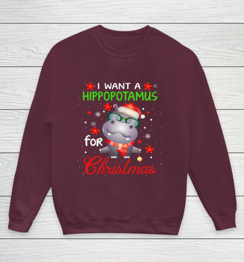 I Want A Hippopotamus For Christmas Funny Hippo Gifts Youth Sweatshirt 4