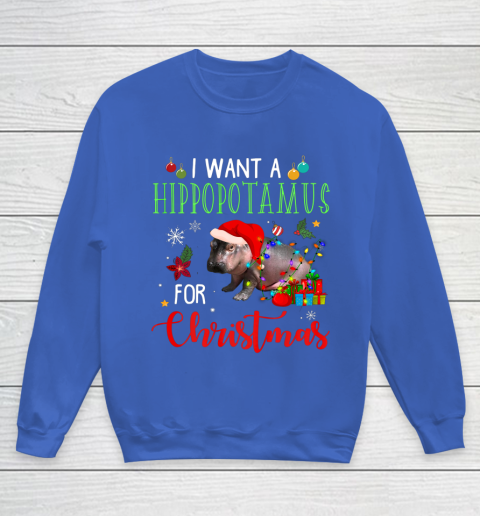 I Want A Hippopotamus For Christmas Hippo Fiona Youth Sweatshirt 6