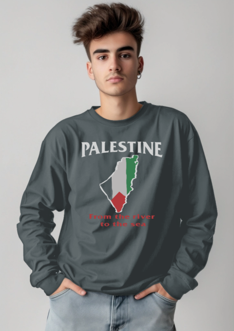hpaj palestine from the river to the sea long sleeve tee 14 front dark heather