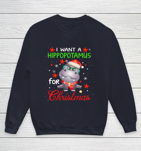 I Want A Hippopotamus For Christmas Funny Hippo Gifts Youth Sweatshirt 2