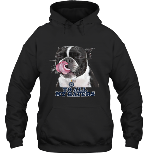 DALLAS COWBOYS Snoopy Joe Cool We're Awesome - Rookbrand