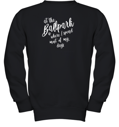 Baseball Softball Mom Hoodie At The Ballpark Spend Most Of My Youth Sweatshirt