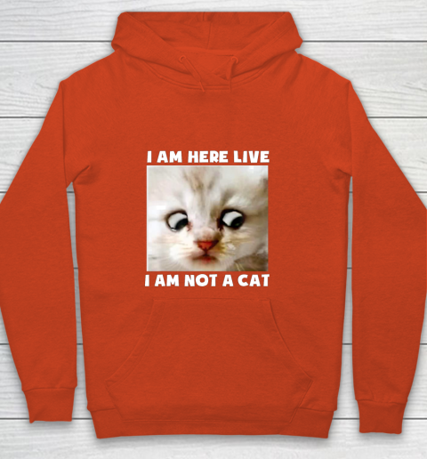 I Am Here Live I Am Not A Cat Funny Lawyer Cat Meme Youth Hoodie