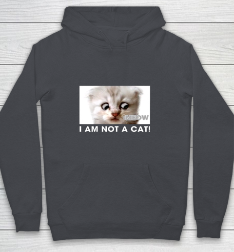 I am not a cat shirt funny video zoom call cat Youth Hoodie 5
