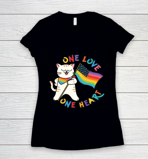Independence Day 4th Of July Proud American Gay Kitten Women's V-Neck T-Shirt