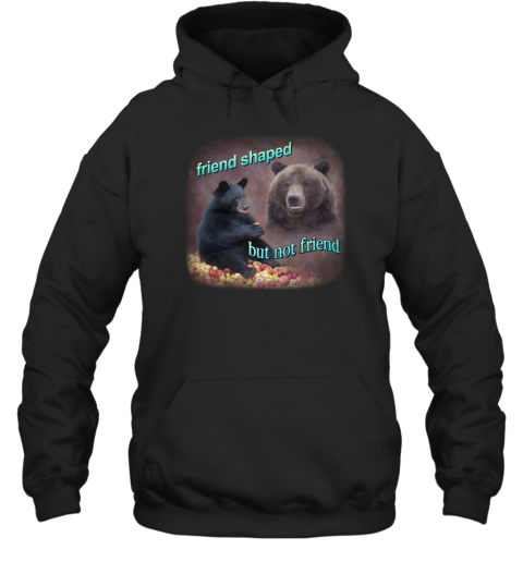 Snazzy Seagull Design Bears Friend Shaped But Not Friend Hoodie