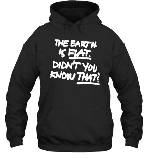 The Earth Is Flat Didn't You Know That Hoodie