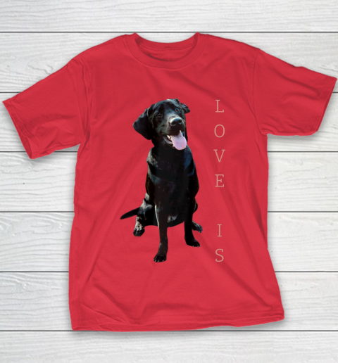 Dog Mom Shirt Labrador Retriever Shirt Women Men Kids Black Lab Dog Mom Youth T-Shirt 7