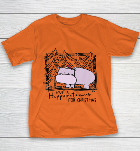 I Want A Hippopotamus For Christmas Hippo for Kid Women Men Youth T-Shirt 3