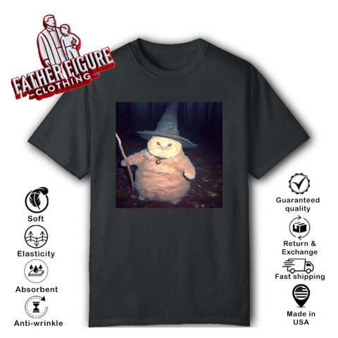 Cheeseball The Wizard Cat Meme T-Shirt