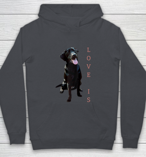 Dog Mom Shirt Labrador Retriever Shirt Women Men Kids Black Lab Dog Mom Youth Hoodie 5