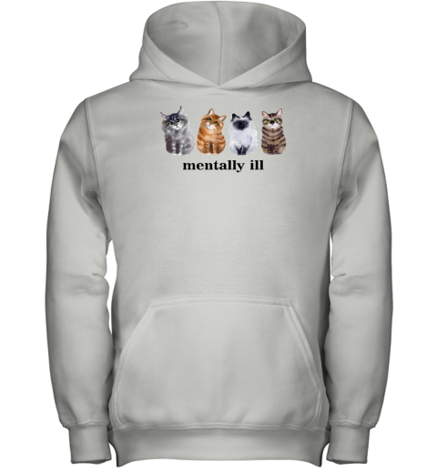 Gotfunny Store Mentally Ill Cats Youth Hoodie