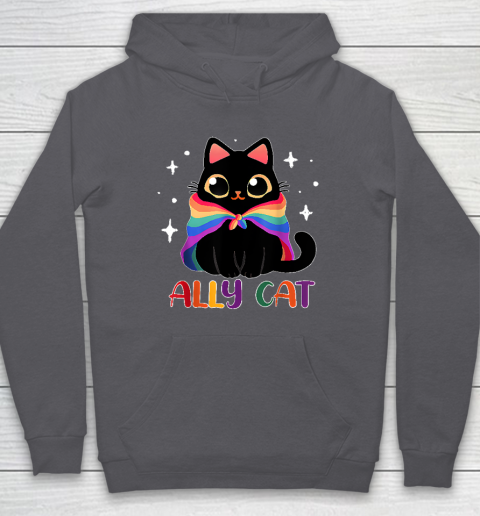 Ally Cat LGBT Gay Rainbow Pride Flag Funny Cat Lover Hoodie 4