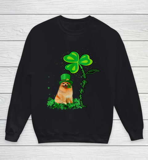 St Patricks Day Pomeranian My Lucky Charm Youth Sweatshirt
