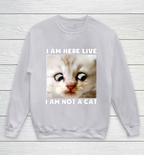 I Am Here Live I Am Not A Cat Funny Lawyer Cat Meme Youth Sweatshirt 3