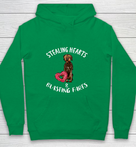 Stealing Hearts Blasting Farts Wirehaired Pointing Griffon Youth Hoodie 4