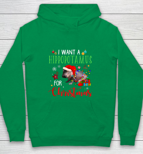 I Want A Hippopotamus For Christmas Hippo Fiona Youth Hoodie 4