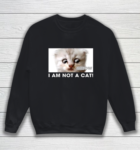 I am not a cat shirt funny video zoom call cat Sweatshirt