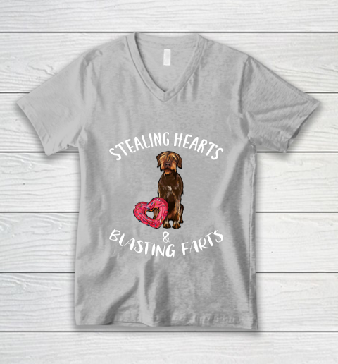 Stealing Hearts Blasting Farts Wirehaired Pointing Griffon V-Neck T-Shirt 3