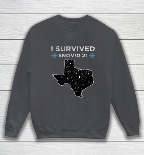 I Survived Winter Snow Storm 2021 Icy Freezing Weather Sweatshirt 4