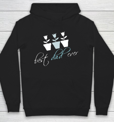 Father's Day Funny Gift Ideas Apparel  best dad everfather day T Shirt Hoodie
