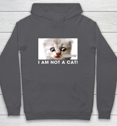 I am not a cat shirt funny video zoom call cat Hoodie 4