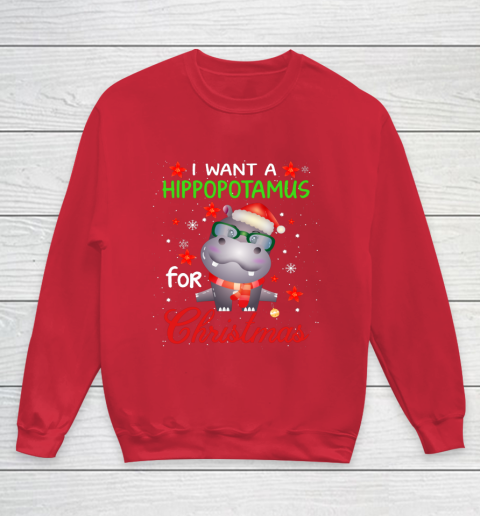I Want A Hippopotamus For Christmas Funny Hippo Gifts Youth Sweatshirt 7