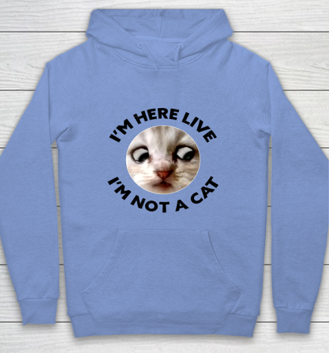 I m Here Live I m Not a Cat Zoom Cat Meme Humor Gifts Hoodie 7