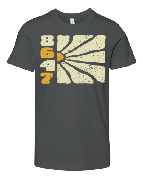 8647 Anti Trump Premium Youth T-shirt