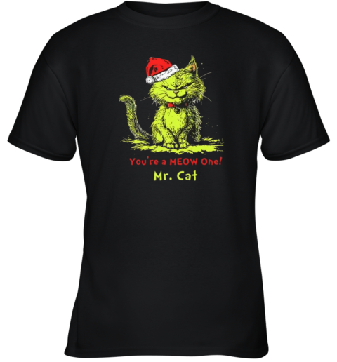 The Grinch You're A Meow One Mr Cat Christmas Youth T-Shirt